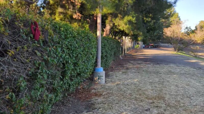 Wintermist Park - Irvine, CA