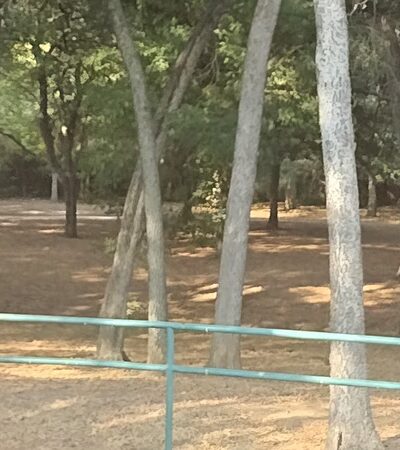 Bear Creek South Park - Irving, TX