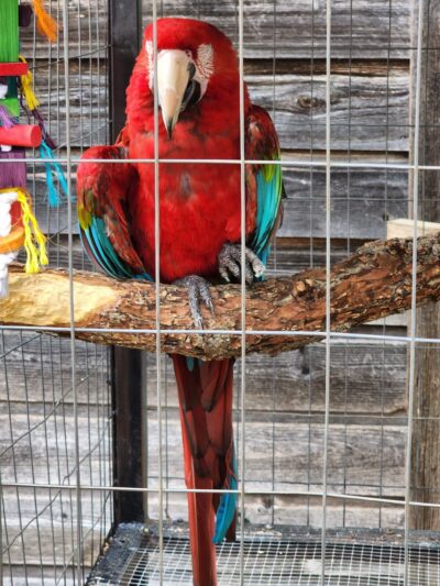 Fritz Park - Irving, TX