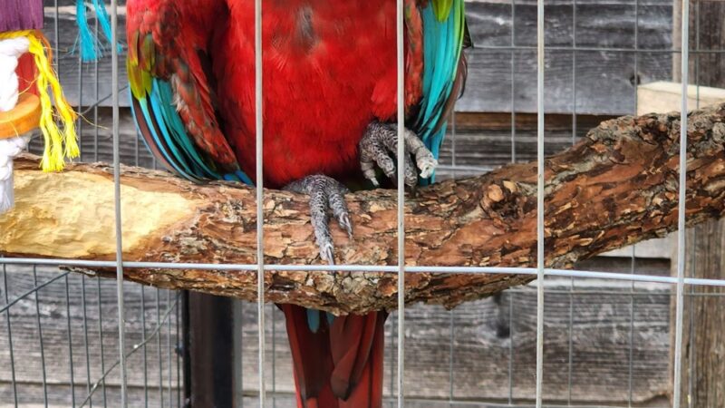 Fritz Park - Irving, TX