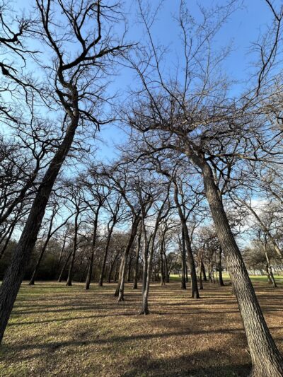 Lively Jogging Trail - Irving, TX