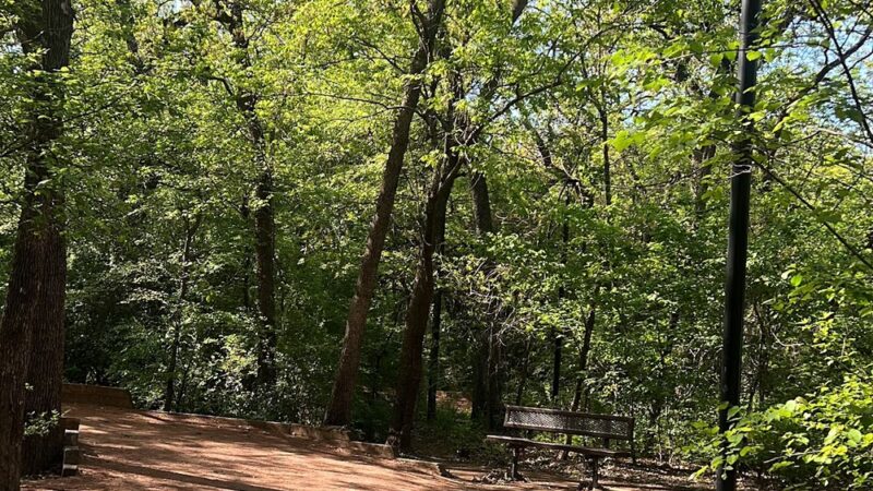 Lively Jogging Trail - Irving, TX