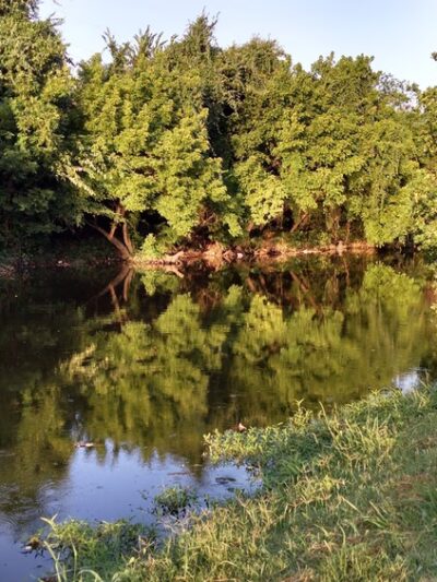 Markwood Park - Irving, TX