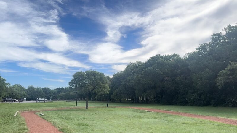 Lively Park - Irving, TX