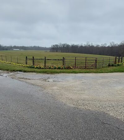 Country Roads RV Park - Irvington, KY