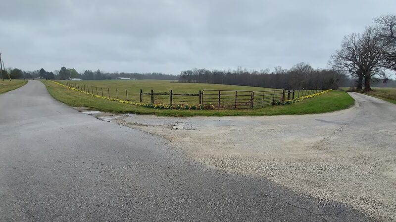 Country Roads RV Park - Irvington, KY