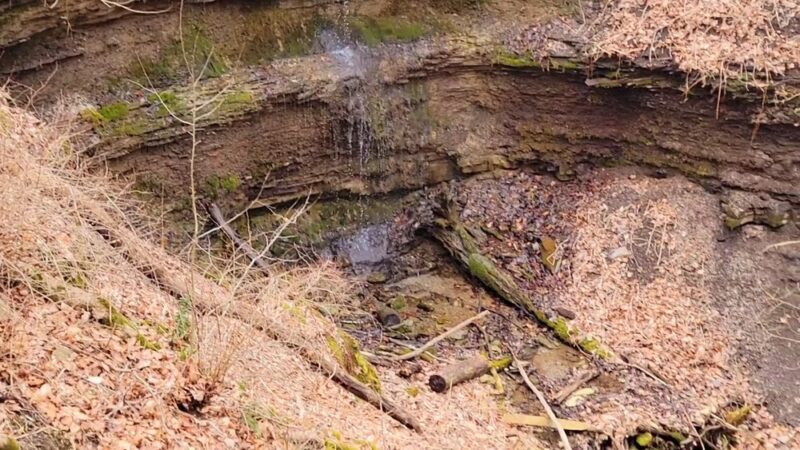 Braddocks Trail Park - Irwin, PA