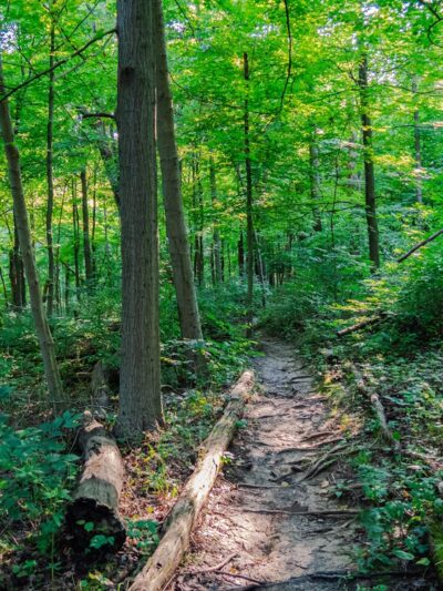 Braddocks Trail Park - Irwin, PA