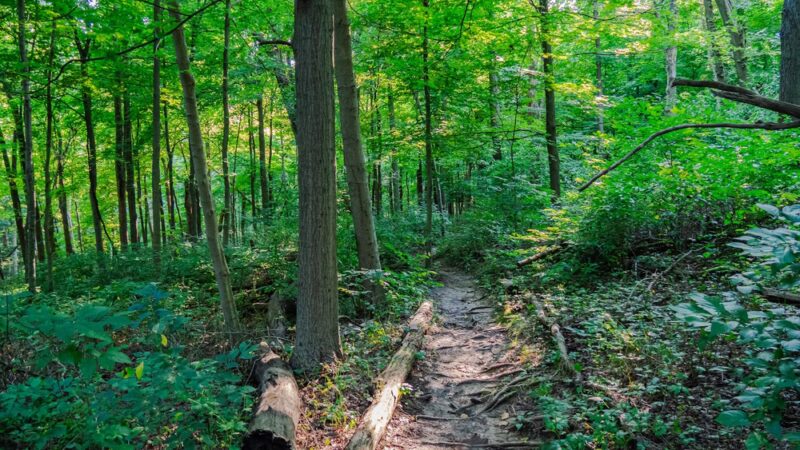 Braddocks Trail Park - Irwin, PA