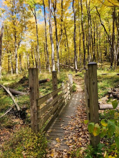 Braddocks Trail Park - Irwin, PA
