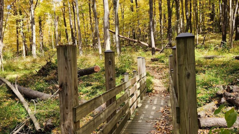 Braddocks Trail Park - Irwin, PA