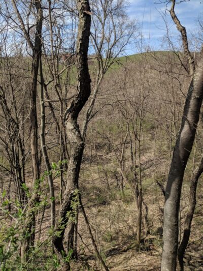 North Irwin Park - Irwin, PA