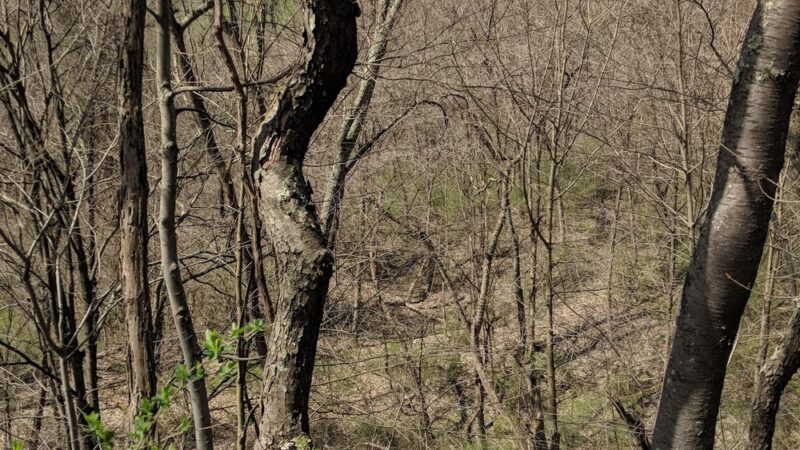 North Irwin Park - Irwin, PA
