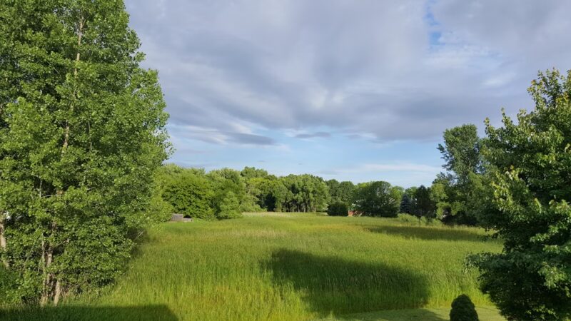 Fish Park - Island Lake, IL