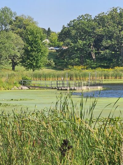 Veterans Park - Island Lake, IL