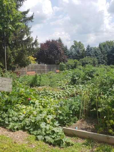 Veterans Park - Island Lake, IL
