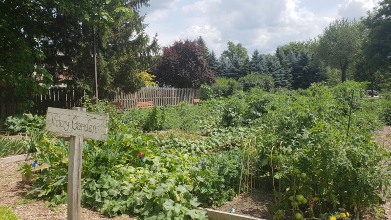 Veterans Park - Island Lake, IL