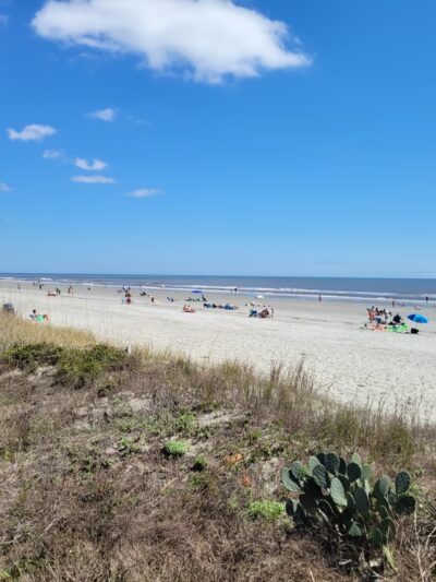 Isle of Palms County Park - Isle of Palms, SC