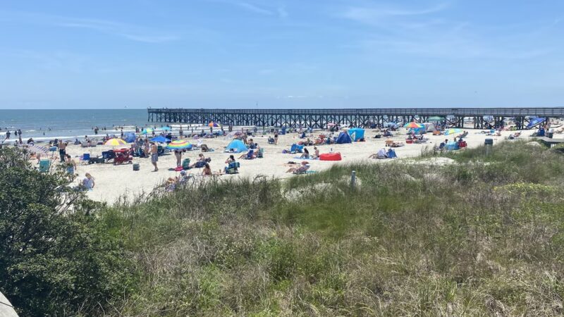 Isle of Palms County Park - Isle of Palms, SC