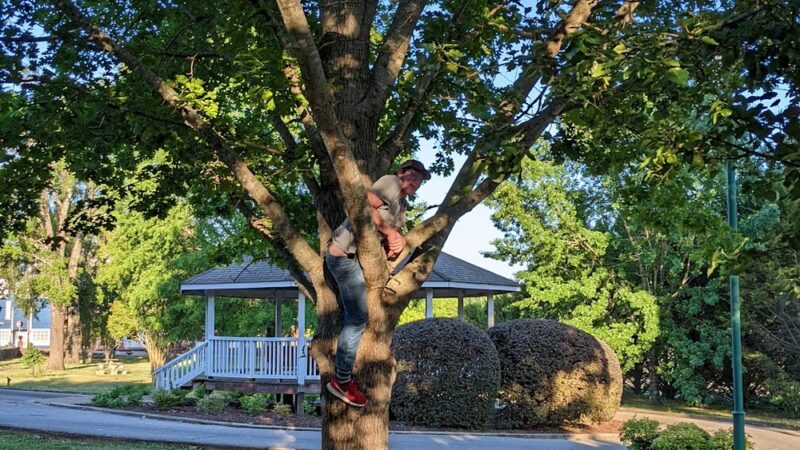 Jay Bird Park. - Iuka, MS