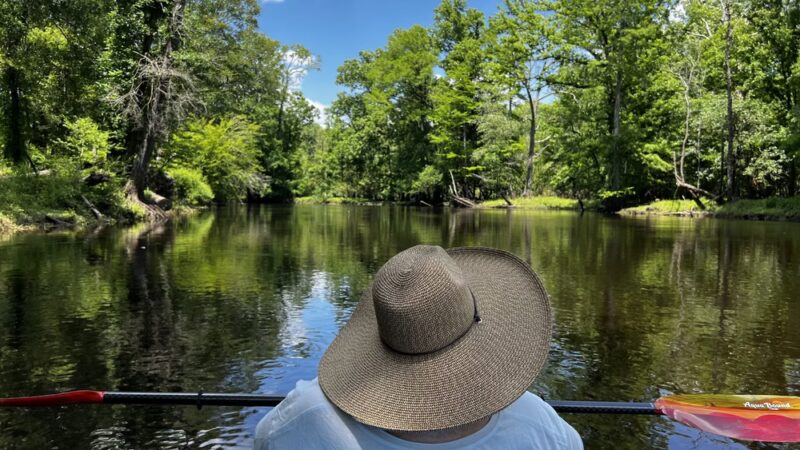 Ivanhoe Boating Access Area - NC Wildlife Resources Commission - Ivanhoe, NC
