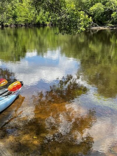 Ivanhoe Boating Access Area - NC Wildlife Resources Commission - Ivanhoe, NC