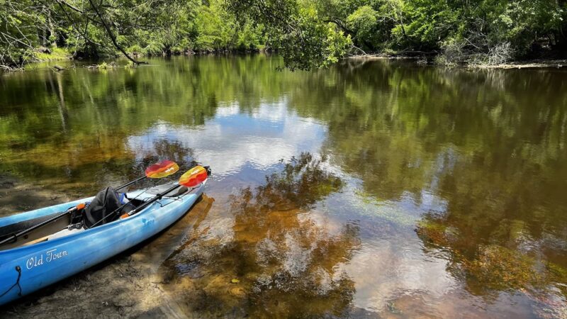 Ivanhoe Boating Access Area - NC Wildlife Resources Commission - Ivanhoe, NC