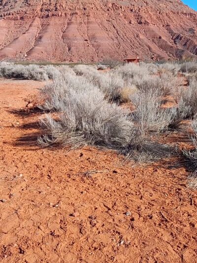 Ivins / Kayenta Dog Park - Ivins, UT