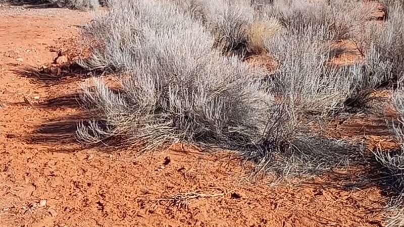Ivins / Kayenta Dog Park - Ivins, UT