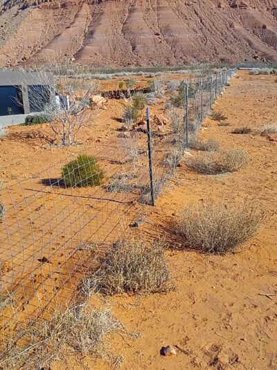 Ivins / Kayenta Dog Park - Ivins, UT