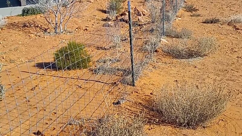 Ivins / Kayenta Dog Park - Ivins, UT