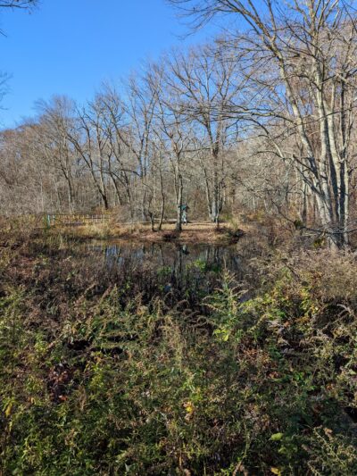 Comstock Fields - Ivoryton, CT