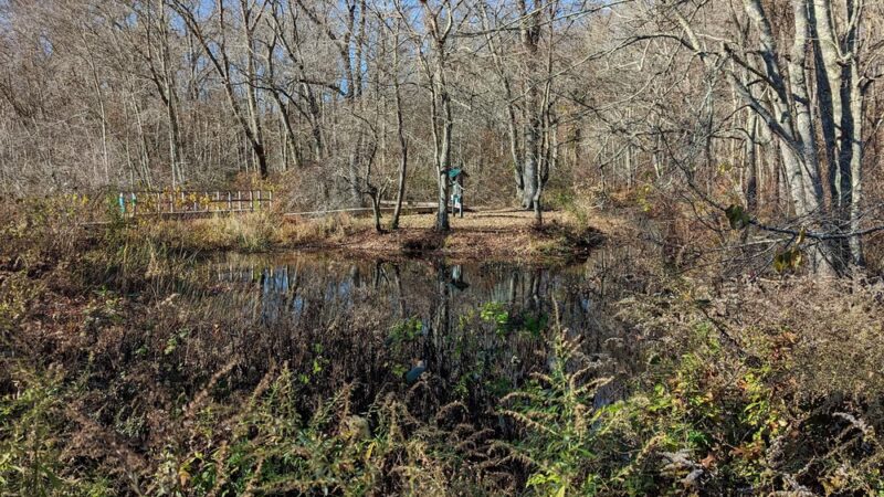 Comstock Fields - Ivoryton, CT
