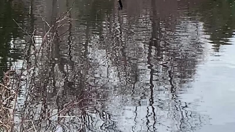 Falls River Park - Ivoryton, CT