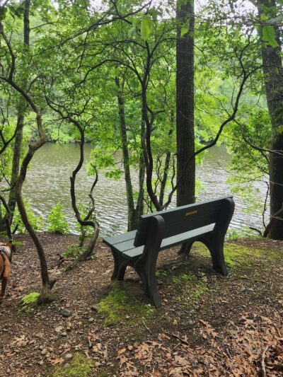 Falls River Park - Ivoryton, CT