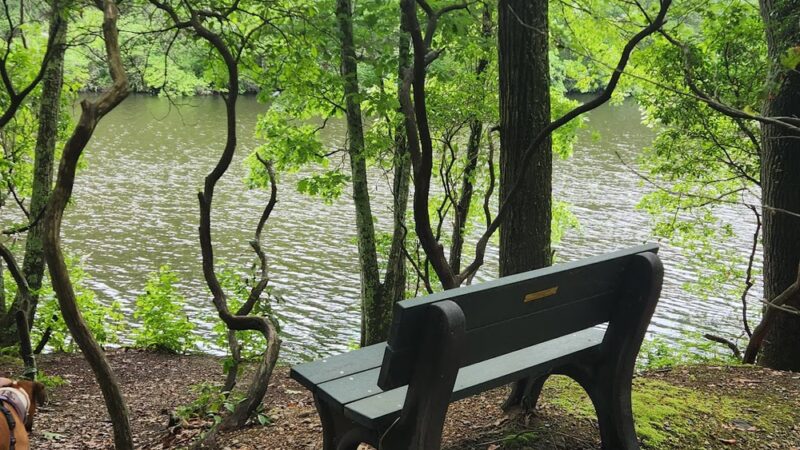Falls River Park - Ivoryton, CT