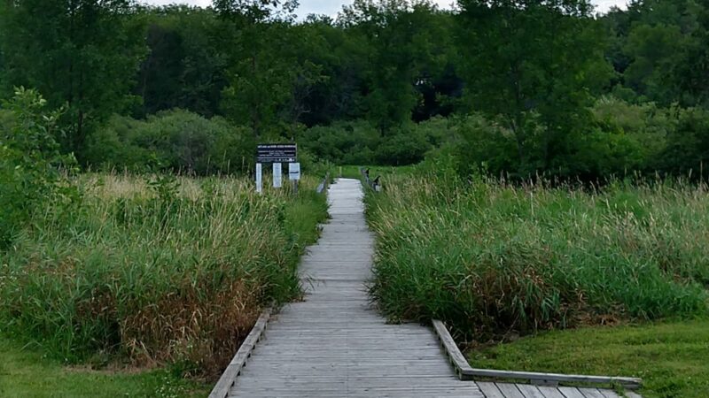 Harnischfeger Park - Ixonia, WI