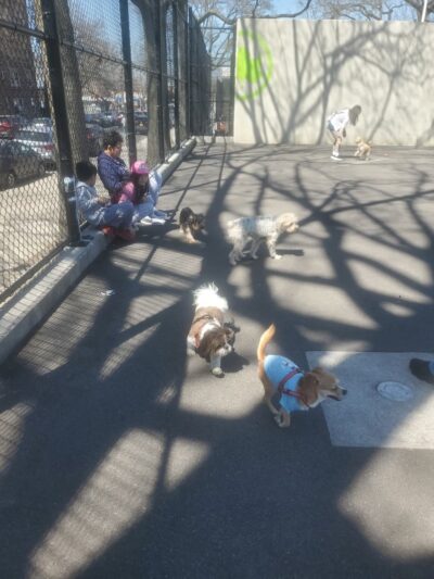 Travers Dog Run - Jackson Heights, NY