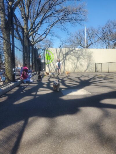 Travers Dog Run - Jackson Heights, NY