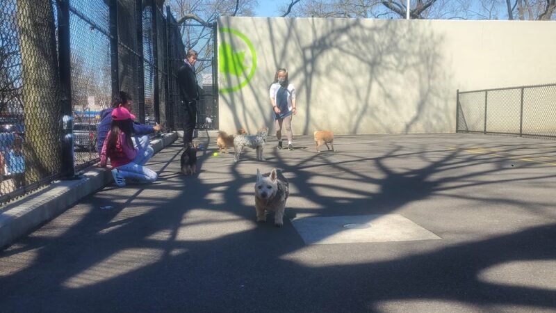 Travers Dog Run - Jackson Heights, NY