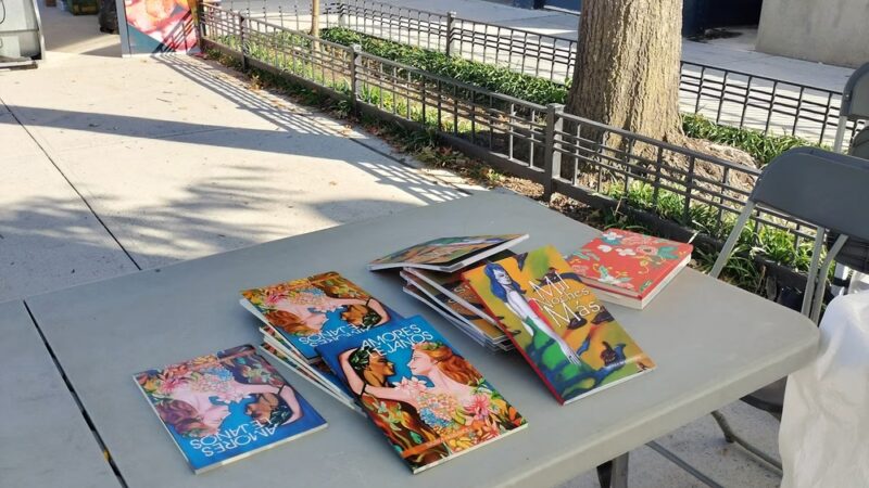 Rory Staunton Field - Jackson Heights, NY