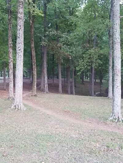Klaus Park - Jackson, MO