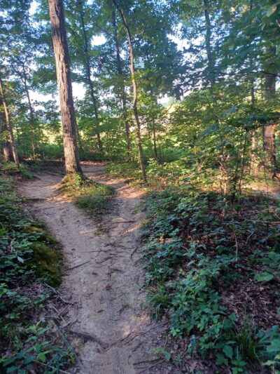 Klaus Park - Jackson, MO