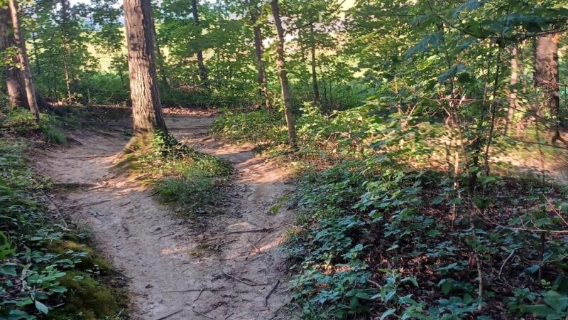 Klaus Park - Jackson, MO