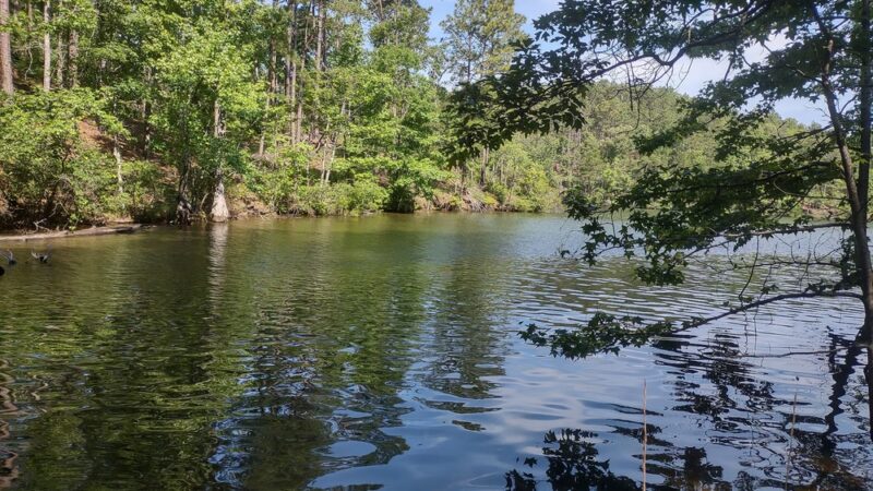 Dare Park Point - Jackson's Gap, AL