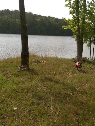 Dare Park Point - Jackson's Gap, AL