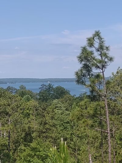 Dare Park Point - Jackson's Gap, AL