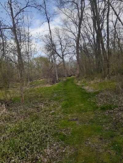 Cedar Run Park - Jackson, WI