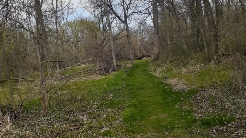 Cedar Run Park - Jackson, WI
