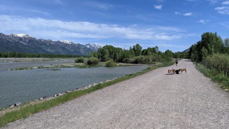 Emily Stevens Park - Jackson, WY